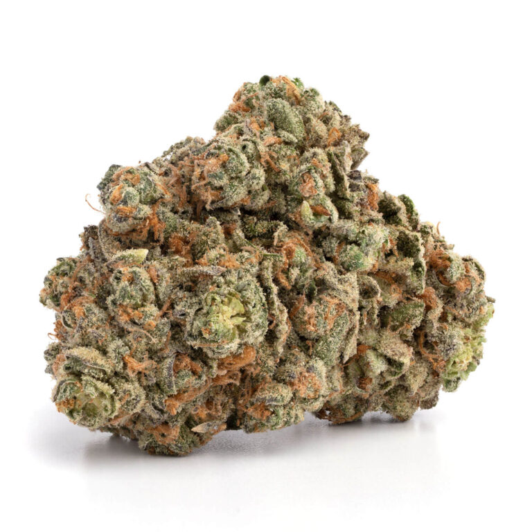 Candy-Jack-1