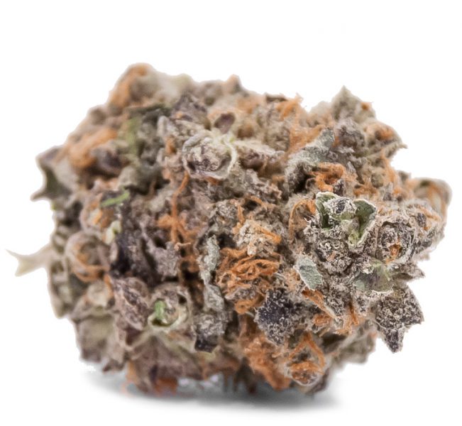 blackwater kush